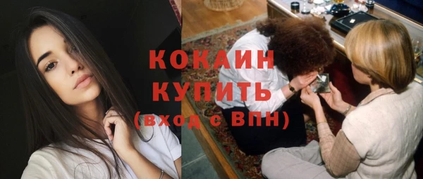 дживик Вязьма