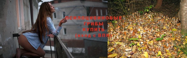 дживик Вязьма