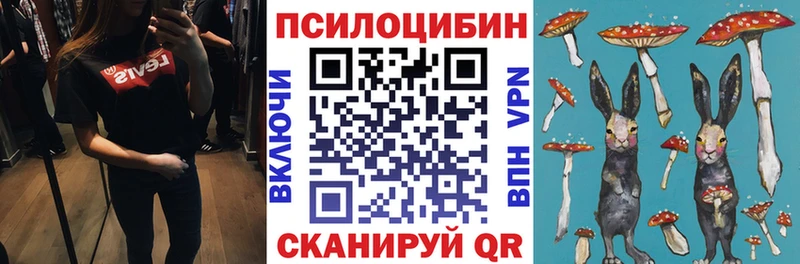 Псилоцибиновые грибы Psilocybe Купить где Семикаракорск